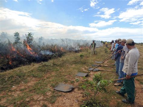 Propriet Rio De Fazenda Multado Por Provocar Fogo Na Terra Ind Gena