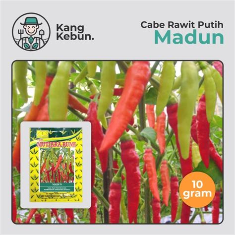 Benih Cabe Rawit Madun 10 Gram Isi 1500 1900 Biji Cap Mutiara Bumi