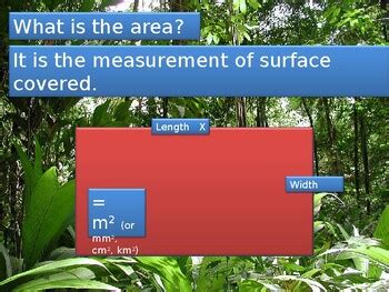 Year 4 Area and Perimeter Maths Lesson Plan Squares and Rectangles