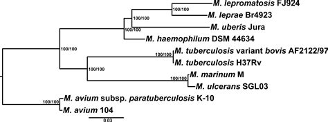 Construction And Analysis Of The Complete Genome Sequence Of Leprosy Agent Mycobacterium