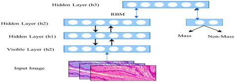 Diagnostics Free Full Text Deep Learning Based Methods For Breast