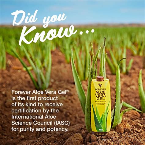 Download The Forever Living Product Catalogue And Get Started With