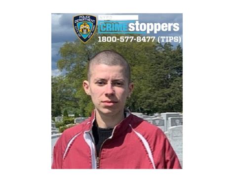 Missing 24 Year Old Last Seen In Crown Heights Nypd Prospect Heights Ny Patch