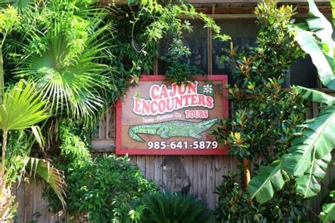 Cajun Encounters Swamp Tours • NOLA - Inbound Destinations