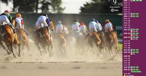 【競馬原論】 レースレヴュー GⅢ 札幌2歳s｜長坂総研