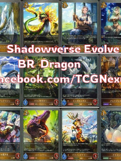 Shadowverse Evolve Single Card Dragon Br Dragon Br Bp