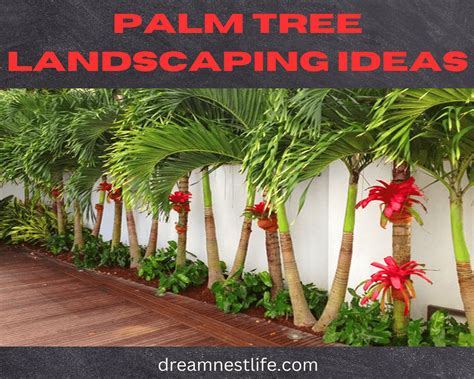 Palm Tree Landscaping Ideas | Dreamnestlife com