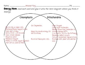 Energy Venn Chloroplasts Vs Mitochondria Photosynthesis Cellular