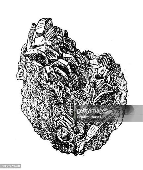 547 Ores Drawing Stock Photos High Res Pictures And Images Getty Images