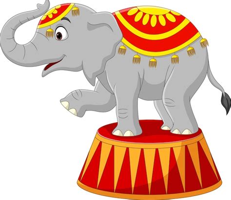 Elefante de circo engraçado dos desenhos animados no pódio Vetor Premium