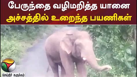 பேருந்தை வழிமறித்த யானை அச்சத்தில் உறைந்த பயணிகள் Youtube