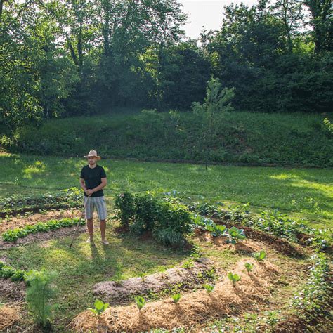 Permaculture Its Critical Role In A Sustainable World