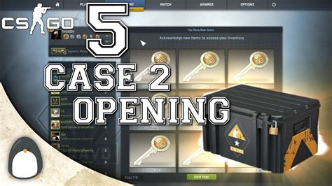 Cs Go The Weapon Case Unboxing Youtube