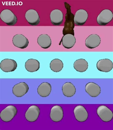 Your Fave Is A Lesbian Transman The Creator Of Steven Universe Has A Racist Past