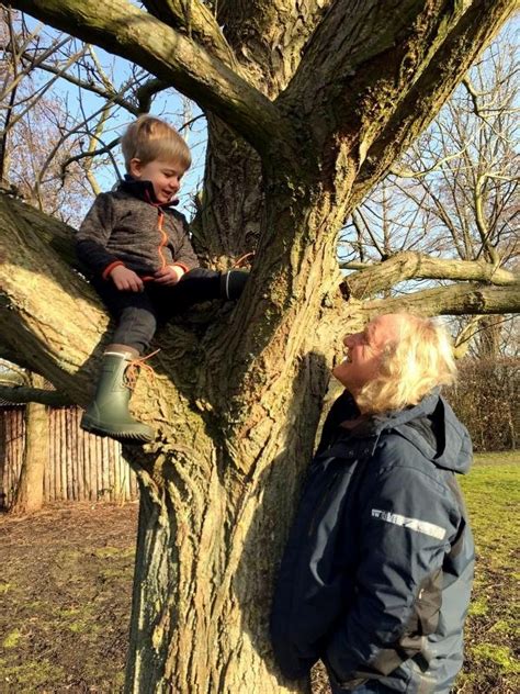 Geschiedenis Van Ten Hoven Bomen Apeldoorn