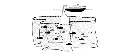 Fishing Nets And Their Types Cast Line Trawl Etc