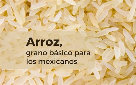 Arroz Grano Básico Para Los Mexicanos Secretaría De Agricultura Y