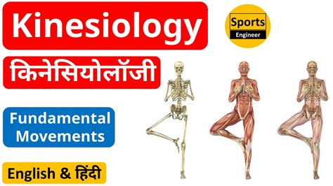 Kinesiology Biomechanics Full Body Movements Physical Education