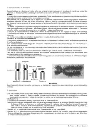 Resumen Tema ORGANIZACION CELULAR 10 Nucleo Y DivisionRESUMEN Pdf