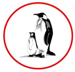 Moe Amateur Swimming Club