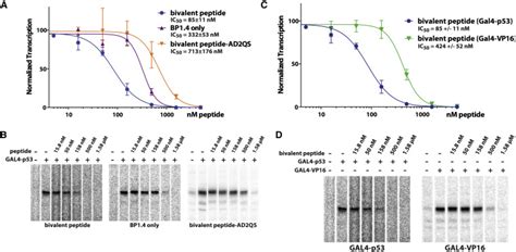 Suppression of p53 response by targeting p53-Mediator binding with a ... 