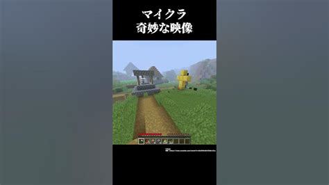 世界で発見されたマイクラの奇妙なモノ【ゆっくり解説】 Shorts Youtube