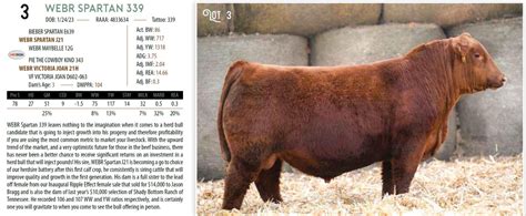 National Beef Wire Lot 3 Sells On DVAuction For 27 000 At The Weber