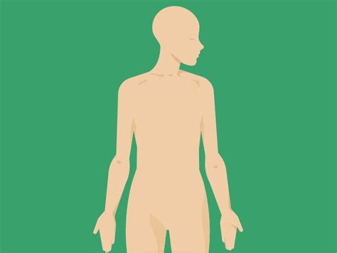 Supraclavicular Lymph Nodes Anatomy Diagram Function Body Maps