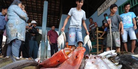 Cuaca Buruk Harga Ikan Di Aceh Naik Dua Kali Lipat Merdeka