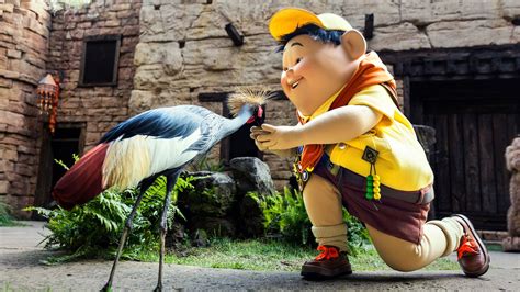 Up A Great Bird Adventure Show Walt Disney World Resort