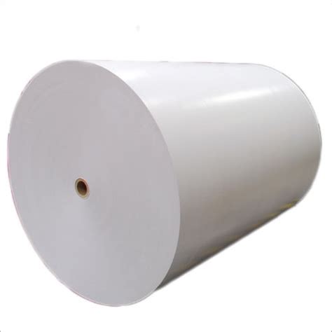 Disposable Polycoated White Paper Roll At Best Price In Sonipat Shri