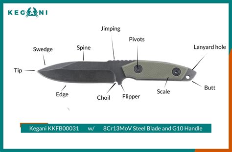 Different Parts of a Hunting Knife: A Visual Guide