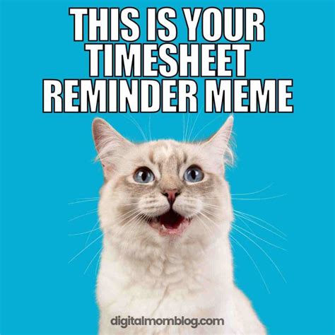 25 Funny Timesheet Memes And Reminders For The Forgetful