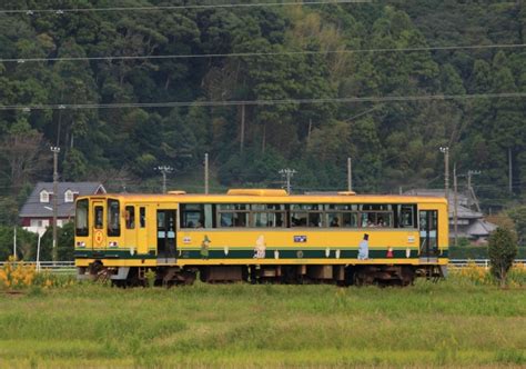 いすみ鉄道いすみ100・200・200形気動車 いすみ206 西大原駅 鉄道フォト・写真 By Kazoo8021さん レイルラボ