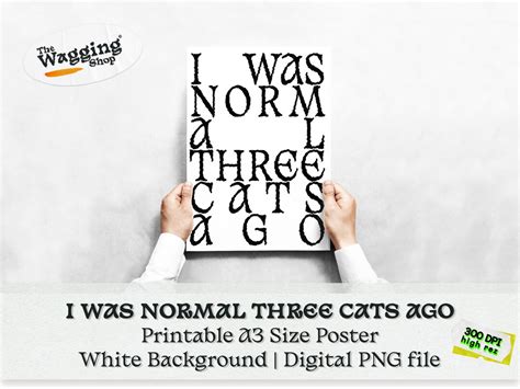 I Was Normal Three Cats Ago Cool And Crazy Cat Themed Poster Printable