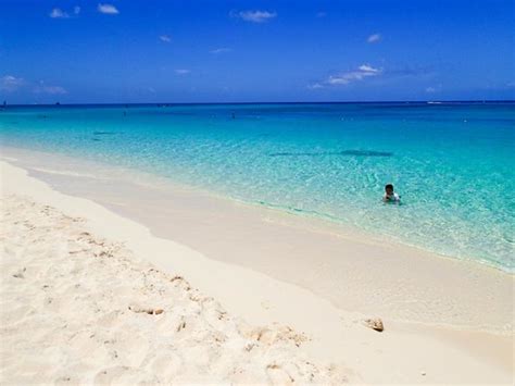 Easy to snorkel - Review of Governors Beach, Seven Mile Beach, Cayman ...