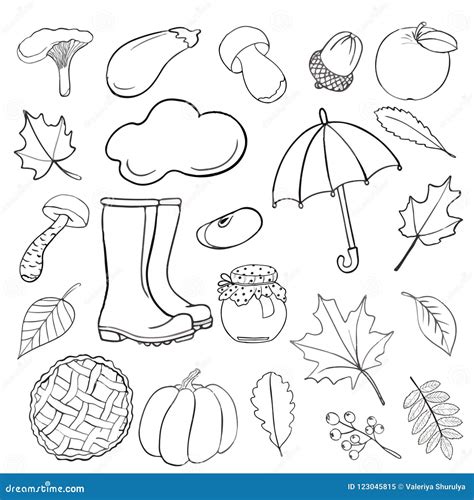 Set Or Collection Of Drawings Of Alder Trees Royalty Free Illustration