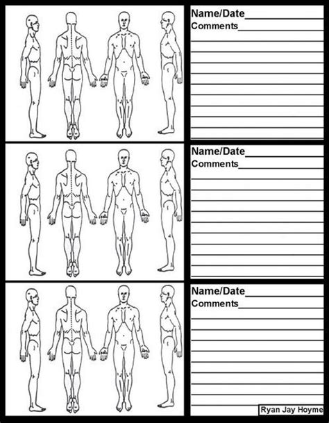 Back Muscles Diagram For Massage Muscles Of Buttock Hip And