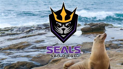 San Diego Seals 2019 Season Preview - Lacrosse All Stars