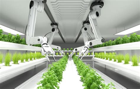 Smart robotic farmers concept, robot farmers, Agriculture technology