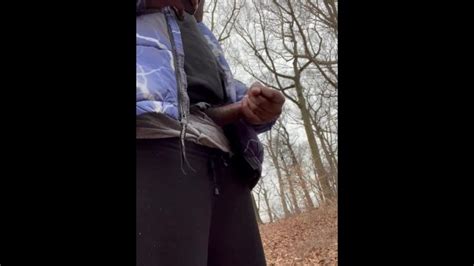 差点被困在树林里 Pornhub Gay