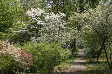 Bartram History | Bartram's Garden