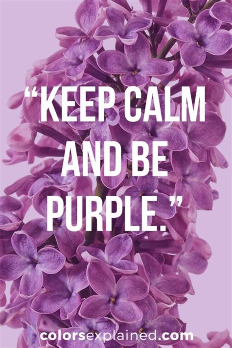 64 Quotes About Purple to Enlighten Your Soul (2025) • Colors Explained