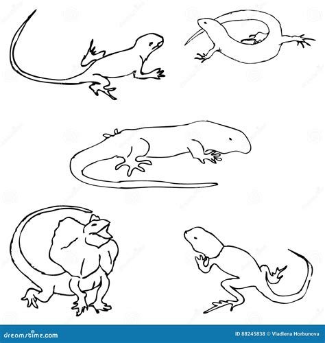 Lizards. Sketch By Hand. Pencil Drawing By Hand. Vector Image. The ...