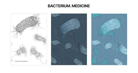 Premium Vector Bacterium Medical Background Medical Pattern Viruses