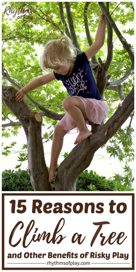 Tree Climbing Tips Techniques And Benefits For Kids And Adults