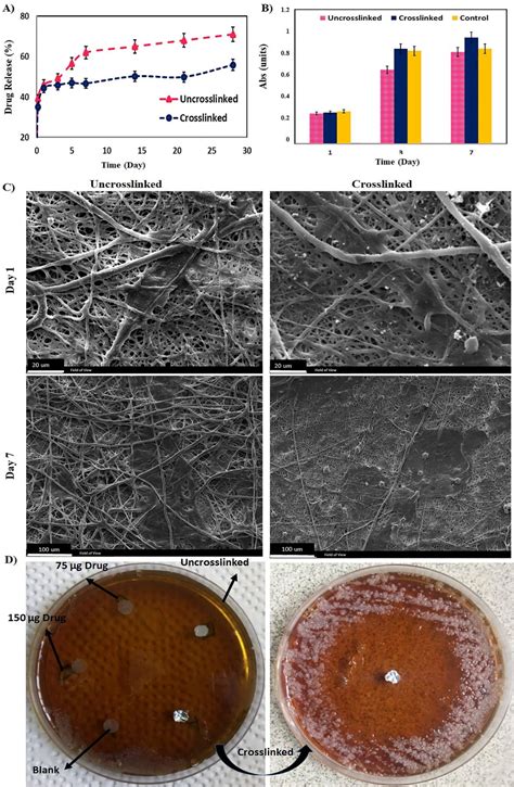 Pdf Cytocompatibility And Antibacterial Properties Of Coaxial