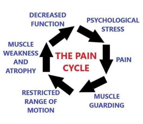 The Pain Cycle (and How to Break It) - Nova Active Rehab