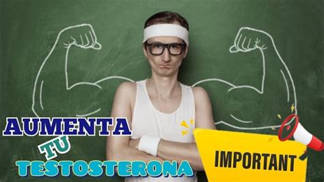 Aumenta Tus Niveles De Testosterona De Forma Natural R Ciencia