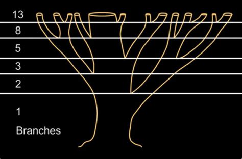 The Fabulous Fibonacci Numbers And The Golden Mean — Worcester